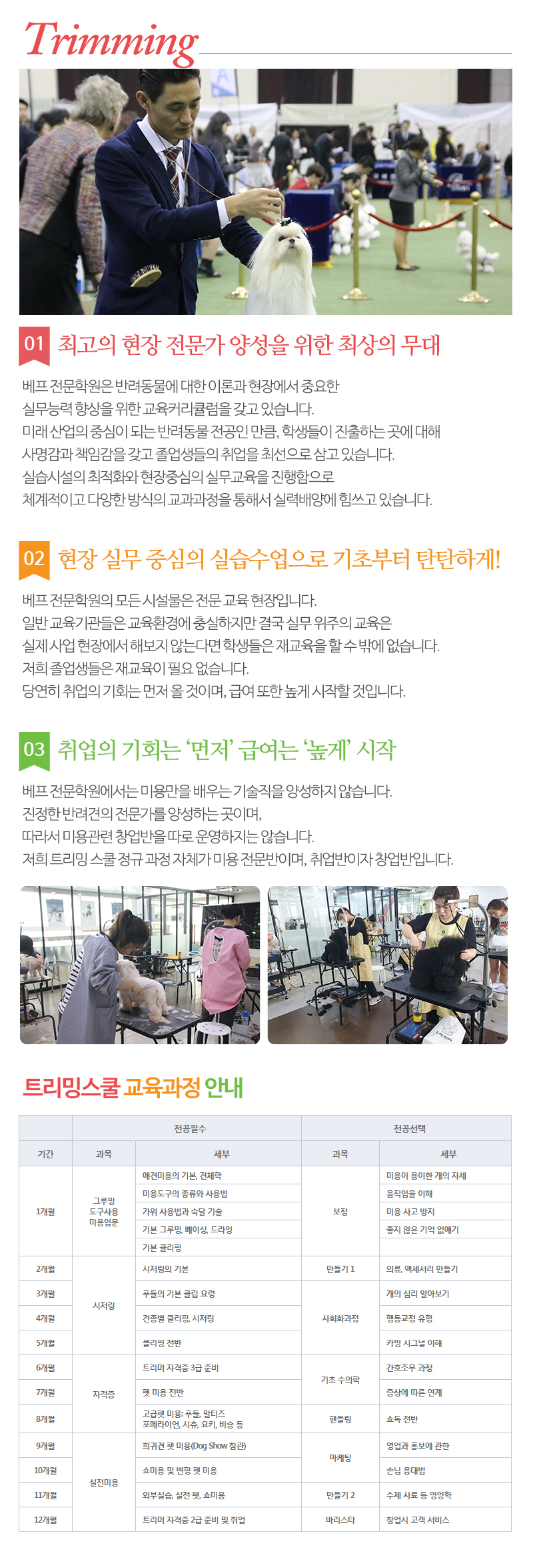 베프애견미용학원_내용